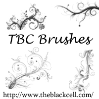 adobe element brushes