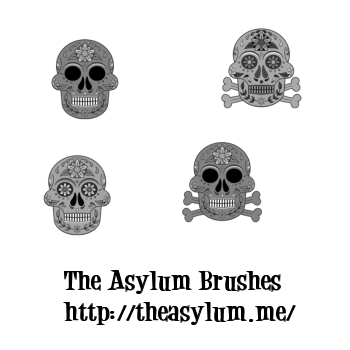 Adobe Brushes